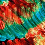 1.colour waves, 2012