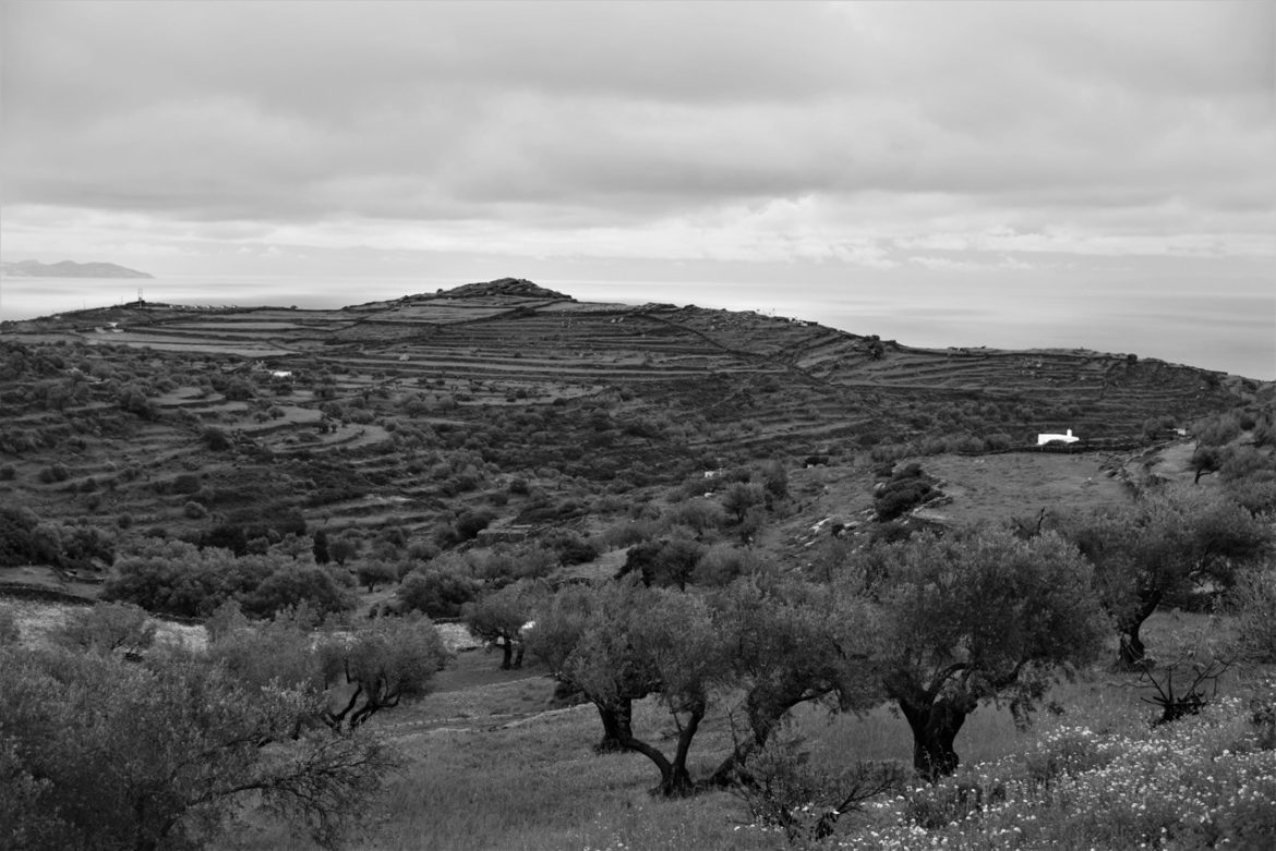 Sifnos island nature 14