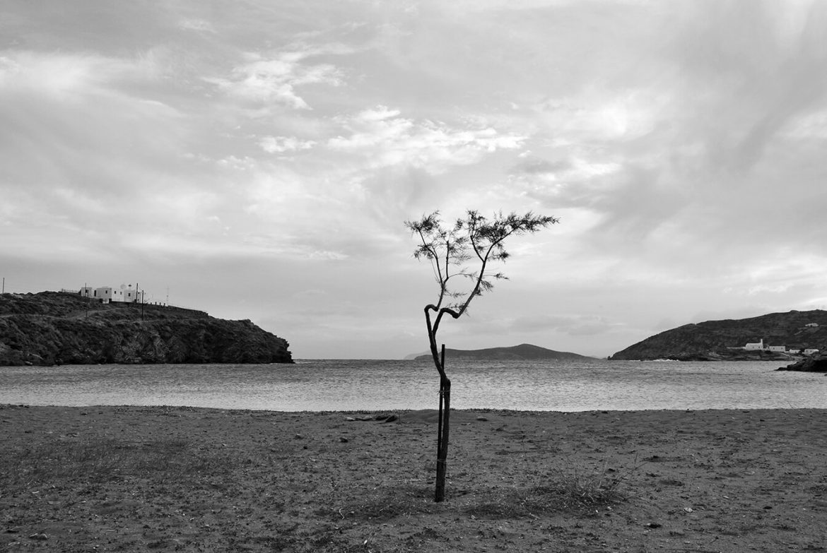 Sifnos island nature 1