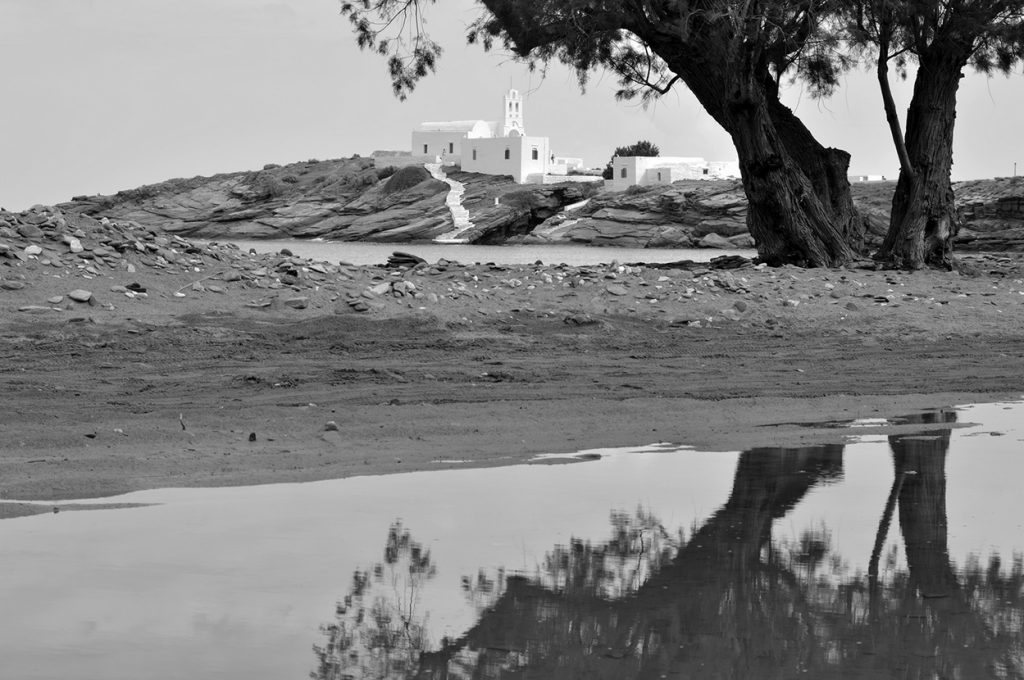 Sifnos island nature 10