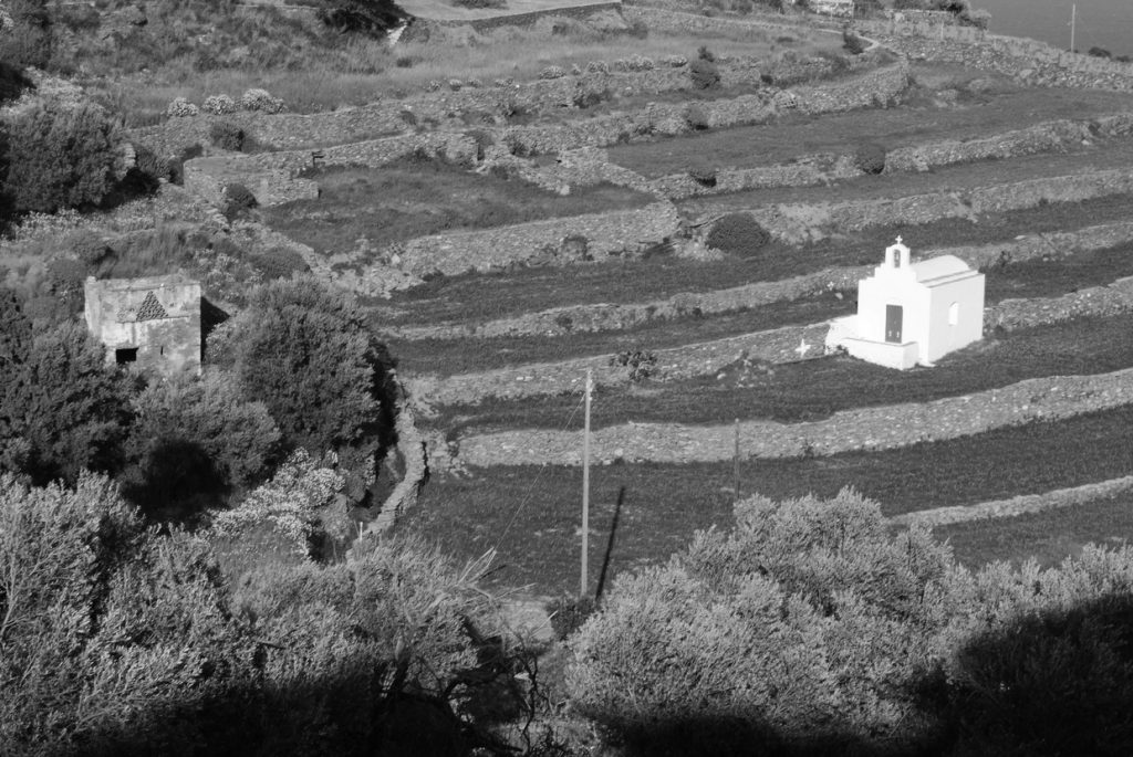 Sifnos island nature 8